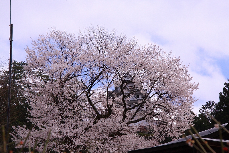 f0229832_16173398.jpg