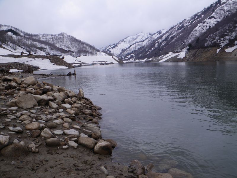e0150433_13594569.jpg