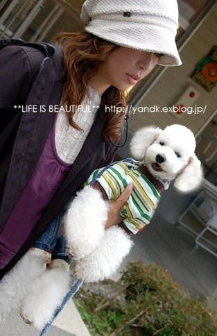 「***life is beautiful ***」のKoromamaさん登場!_c0039735_2304851.jpg