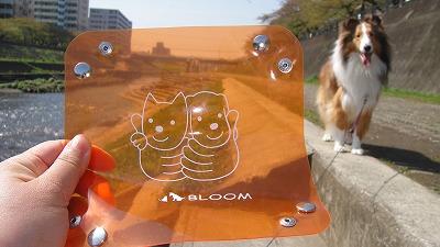 お留守番のあとは「川岸で朝ごはん」_e0195743_1992389.jpg