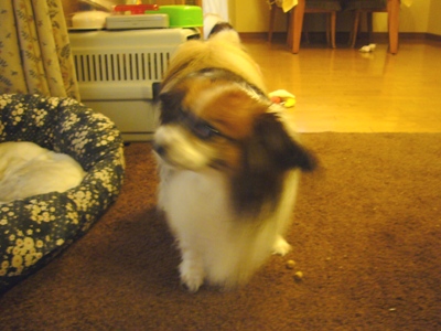 e0100046_1855922.jpg