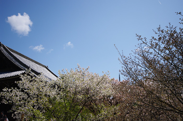 f0152550_22123455.jpg