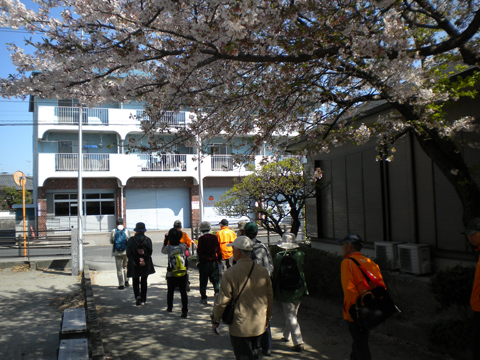 15.「歴史の散歩道ウォーキング」_c0125356_052425.jpg