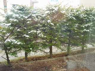 e0004756_1939922.jpg