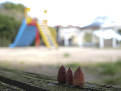 f0202957_759457.jpg
