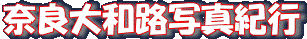 <2010年4月24日>大和路・旅の思い出レビュー(その1):奈良・西ノ京・斑鳩編_c0119160_22291551.gif