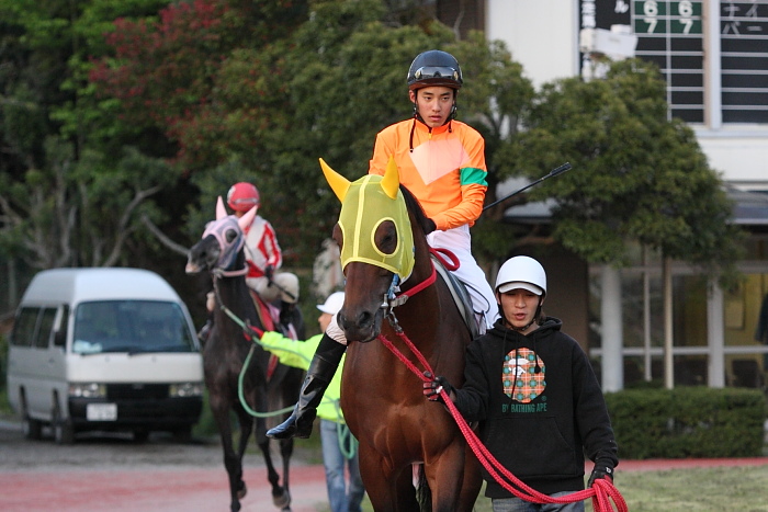 2010年4月17日(土) 高知競馬 6R C3-4_a0077663_1621236.jpg