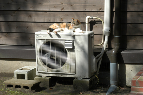 室外機萌え_e0171573_235214100.jpg