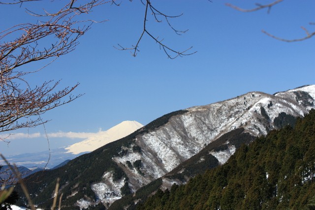 2010年３月１１日　丹沢　大山　日帰りピークハント　２名_f0238475_1462059.jpg