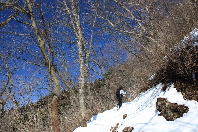 2010年３月１１日　丹沢　大山　日帰りピークハント　２名_f0238475_1471817.jpg