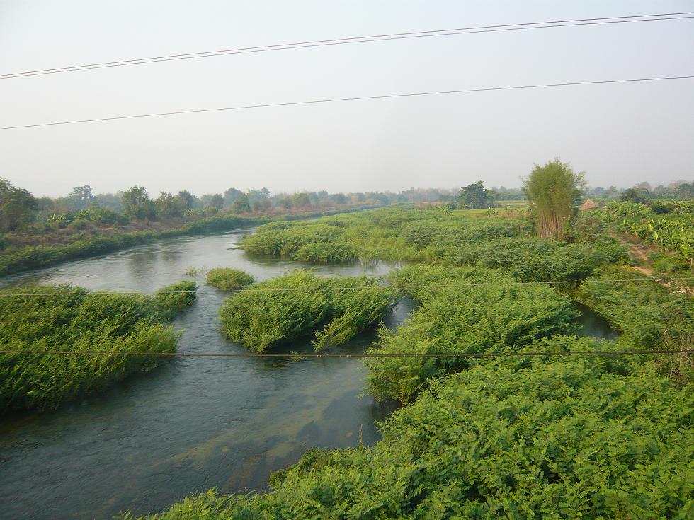 f0178278_17455910.jpg