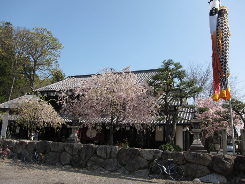 軽装、軽走、そして激走！！（本編）_e0138081_12442347.jpg