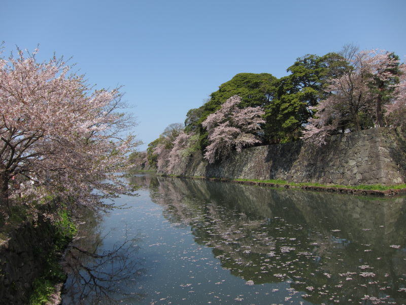 軽装、軽走、そして激走！！（本編）_e0138081_12535668.jpg