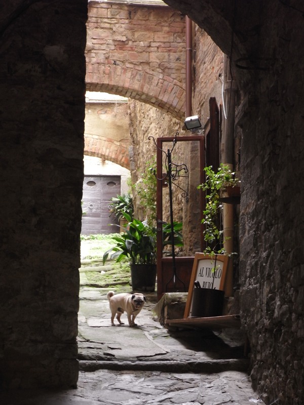 中世の路地裏散歩 In コルトーナ イタリア満喫ブログ