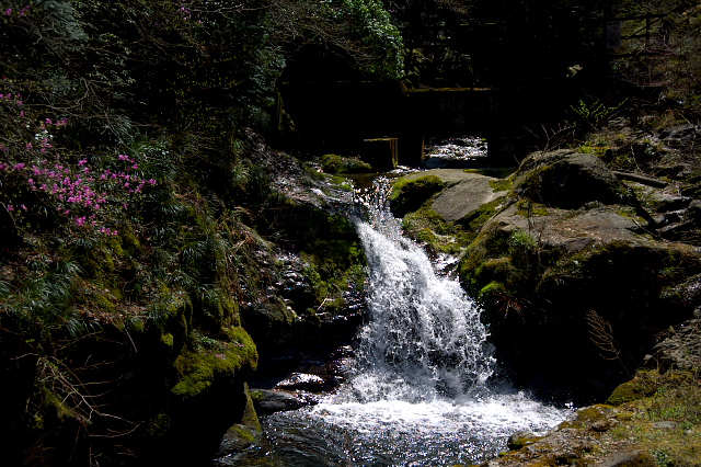 c0181187_23293533.jpg