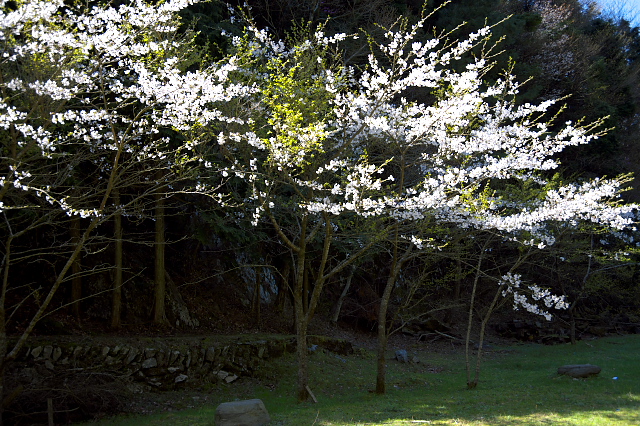c0181187_2345670.jpg