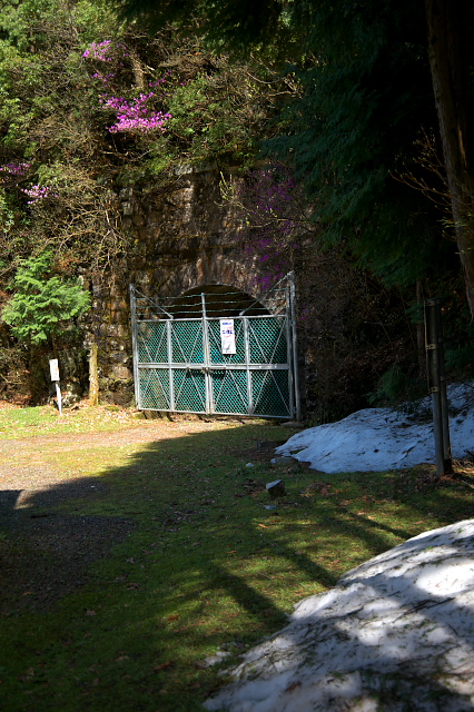 c0181187_23541032.jpg