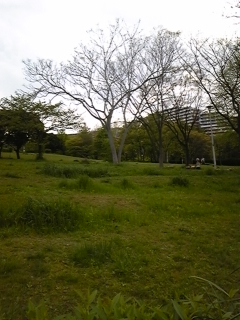 f0017897_8383920.jpg