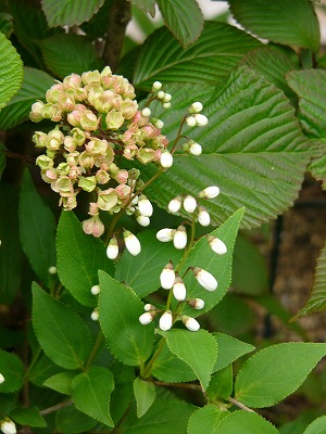 a0123003_18544291.jpg