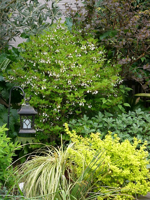 a0123003_1857960.jpg