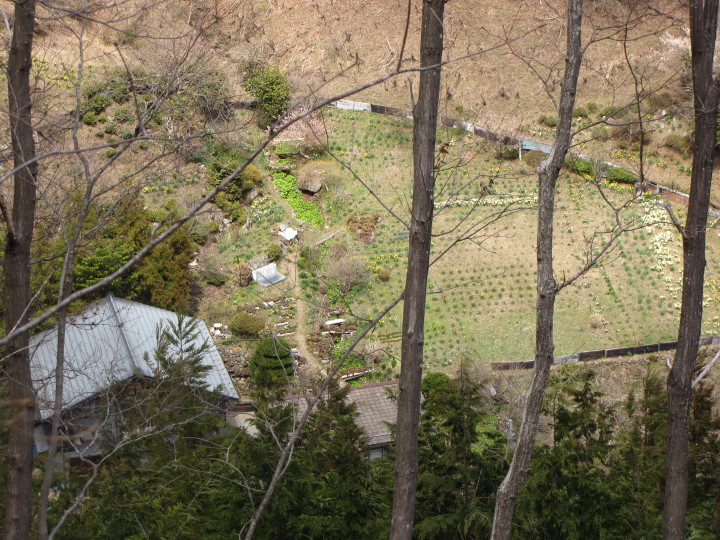 b0116703_20155037.jpg