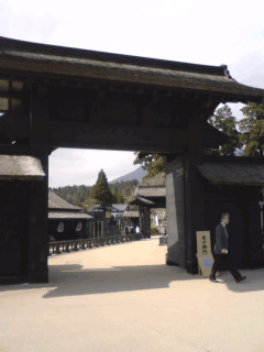 a0071805_9122995.gif