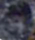 e0103408_14113448.gif