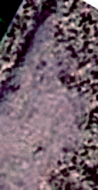 e0103408_14124966.gif