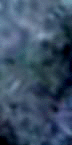 e0103408_14151340.gif