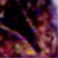 e0103408_1422760.gif