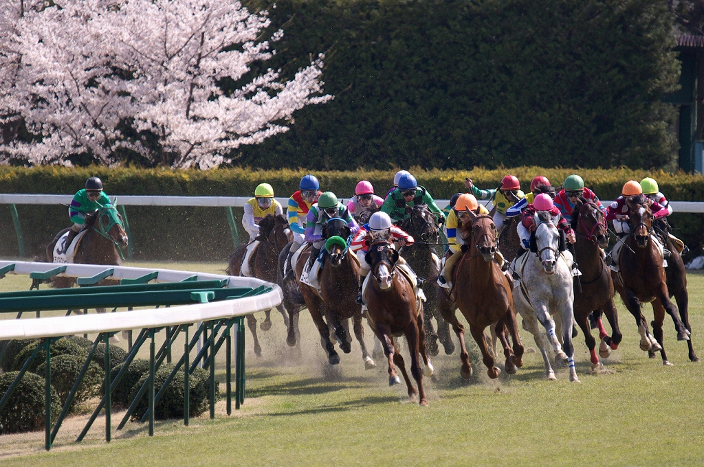 お馬は皆、パカパカ走る♪_e0132310_12371517.jpg