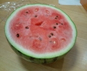 すいか_f0206213_1740948.jpg