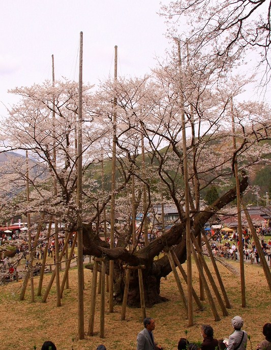 f0229832_165799.jpg
