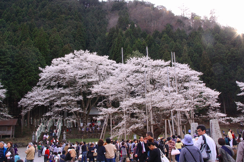 f0229832_1782656.jpg