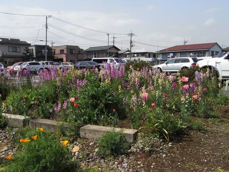 c0195134_7481613.jpg