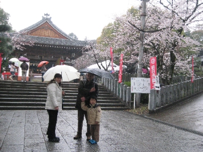 筍とさくら　～　京都の春_f0234936_4461576.jpg