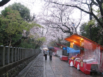 筍とさくら ~ 京都の春_f0234936_5103246.jpg