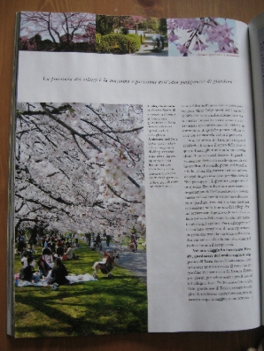 筍とさくら　～　京都の春_f0234936_7175432.jpg