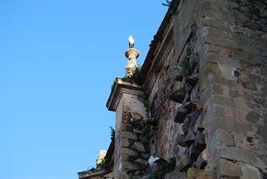e0120938_95467.jpg