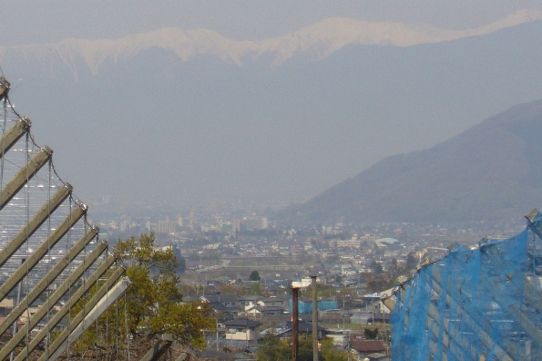 b0160142_124443.jpg