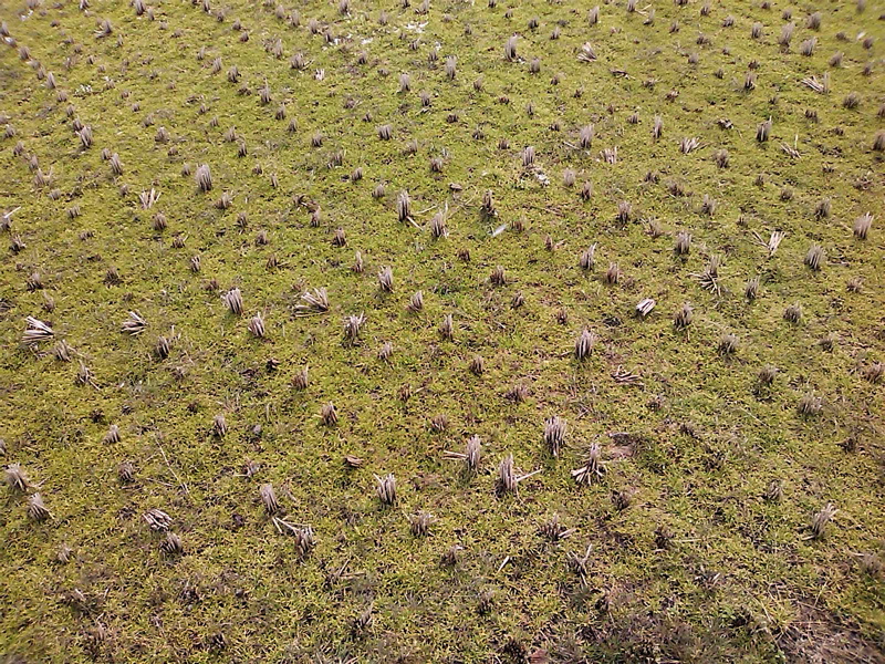 d0155148_1229353.jpg