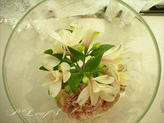 c0176651_10461822.gif