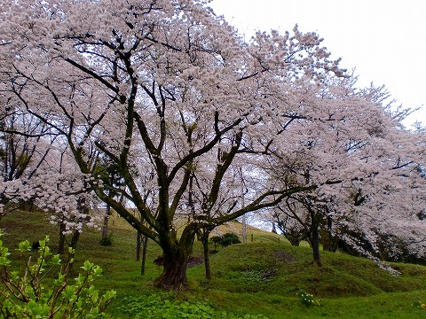 寒いくらいの　毎日_a0114853_72505.jpg