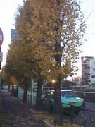 パンドラの光 _f0232060_1543631.jpg