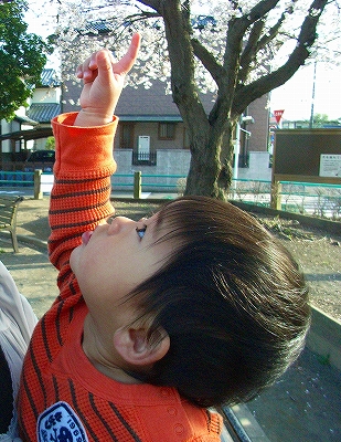 4月に入って_a0129661_9215681.jpg