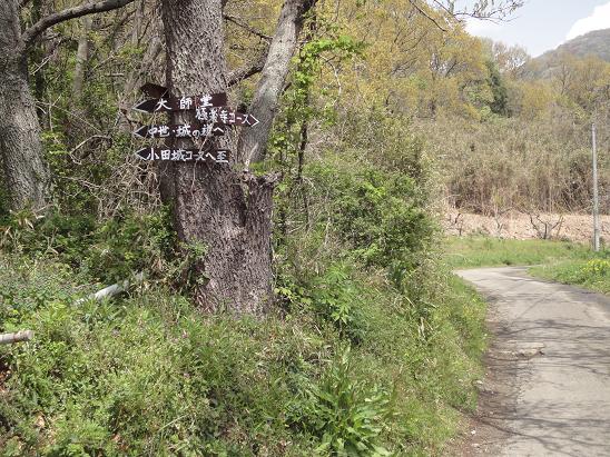 宝篋山(小田山)の春_b0124462_135759.jpg