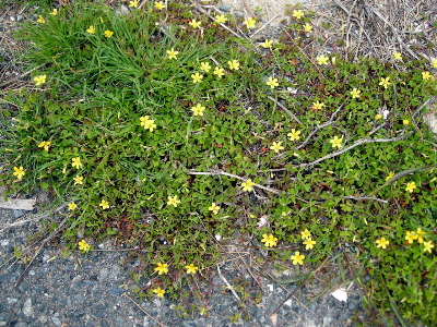 c0180565_1533234.jpg