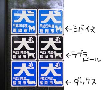 狂犬病予防注射票 シール 柴と徒然日記