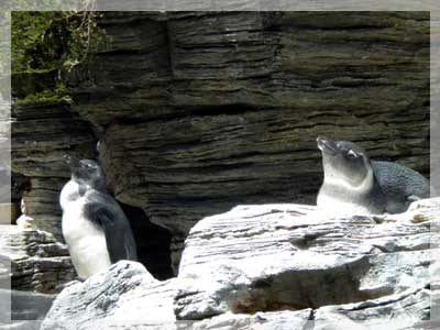 e0157579_7513534.jpg