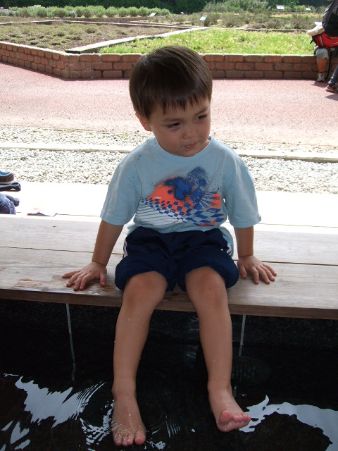 e0123680_218277.jpg